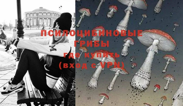 дурь Аркадак