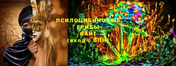 ПСИЛОЦИБИНОВЫЕ ГРИБЫ Армянск