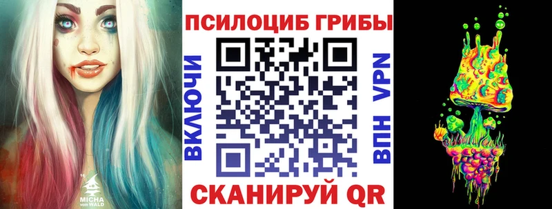 сколько стоит  Осинники  Галлюциногенные грибы Psilocybine cubensis 